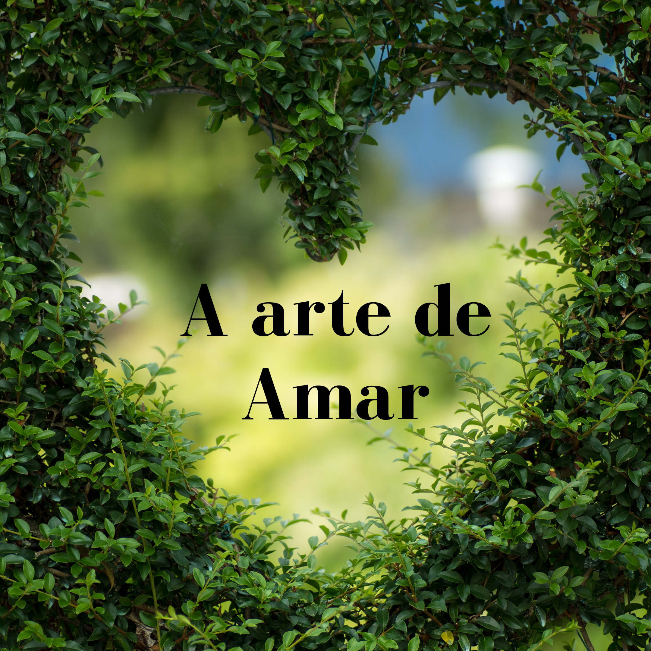 A ARTE DE AMAR