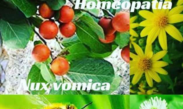 “QUARTETO FANTÁSTICO DA HOMEOPATIA” – NUX VOMICA