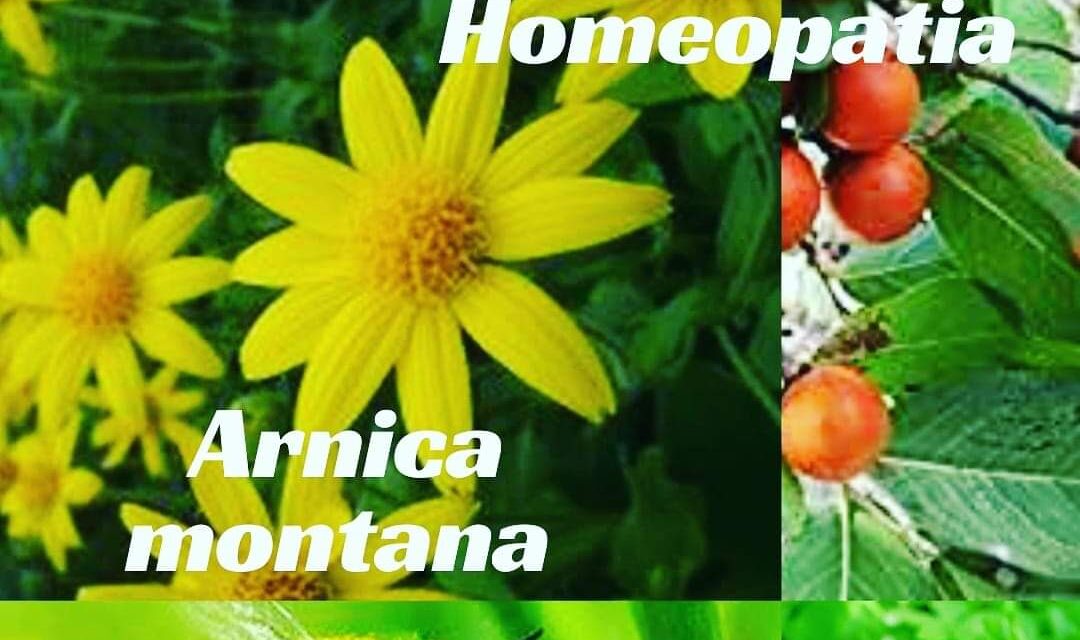 “QUARTETO FANTÁSTICO DA HOMEOPATIA” – ARNICA MONTANA