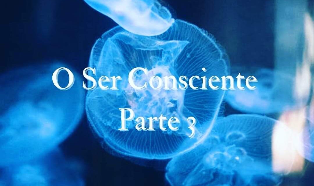 O SER CONSCIENTE – PARTE 3