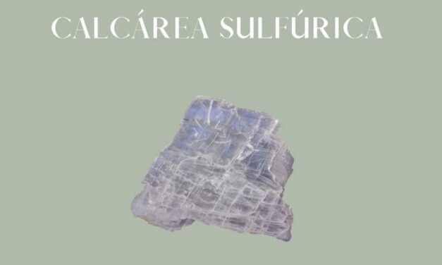 Calcium sulfuricum