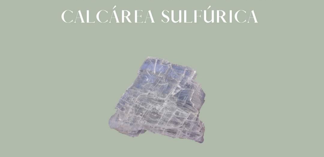 Calcium sulfuricum